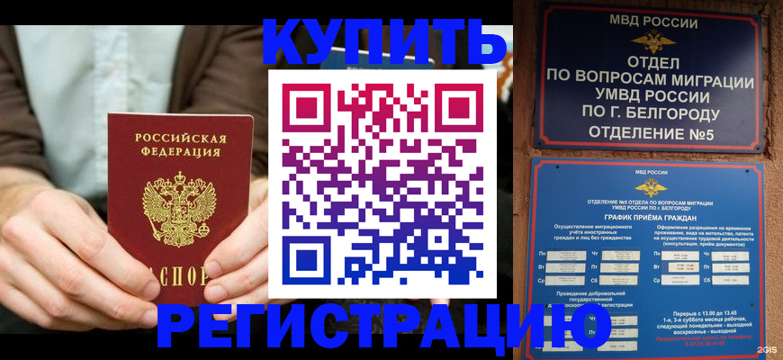 прописка 2025 в Ковылкино